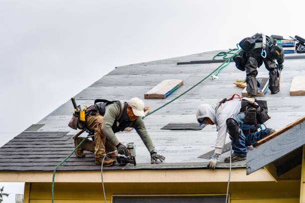 Professional Emergency Roof Repair technician working in Bridgewater, NY